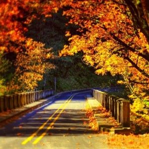 Meet your Posher, Paul